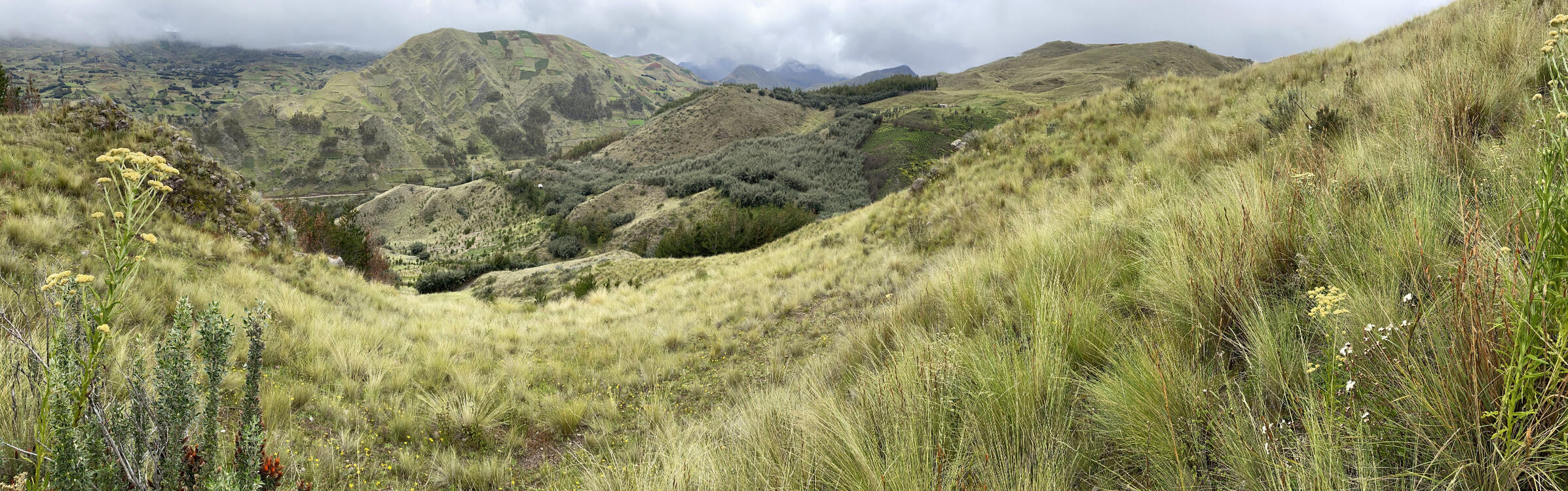Fundo Sanllay II-vista panoramica, mars 2024